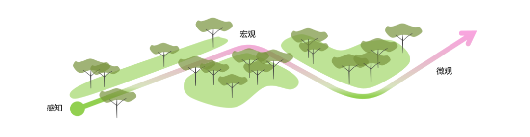 鸿园志｜鸿坤•国际生物医药园，自然与科技的空间对话