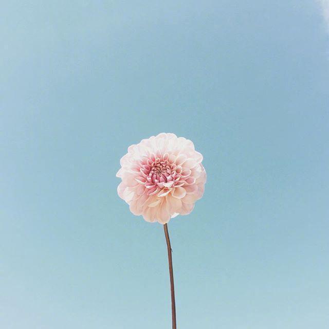 七月最勵志的說說,發朋友圈激勵人心