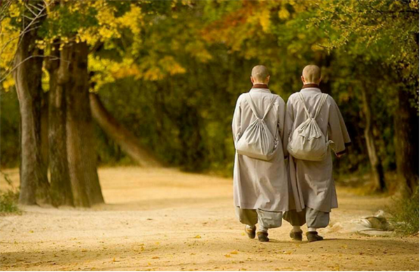 好姐妹，你出家真是今生注定的吗？