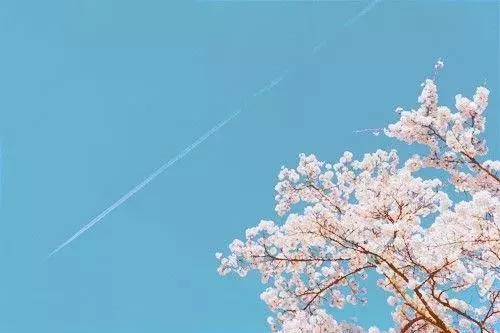 正能量的句子经典语句 人应该善待自己 善待自己的最好方法是善待别人图片