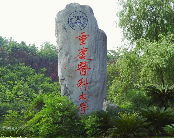 我国医药类大学排名，南医大位居前3甲，中国医大表现亮眼