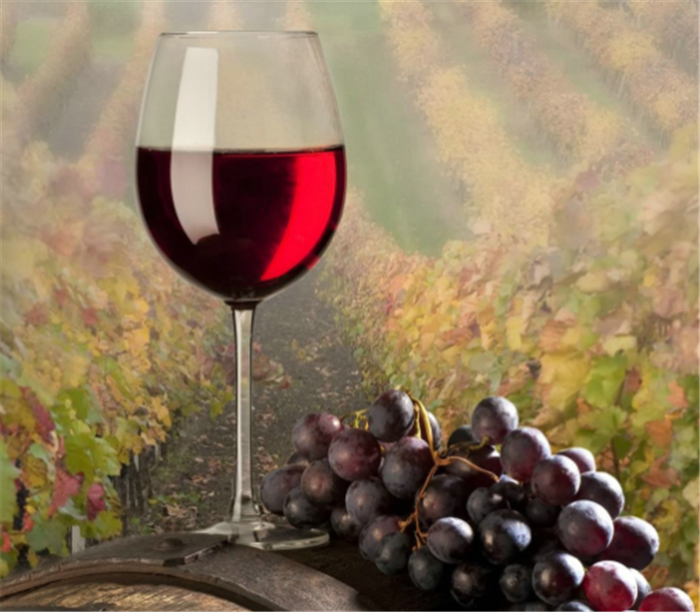 葡萄酒中“干红”指什么？葡萄酒品质高低如何区分，看完你就懂了