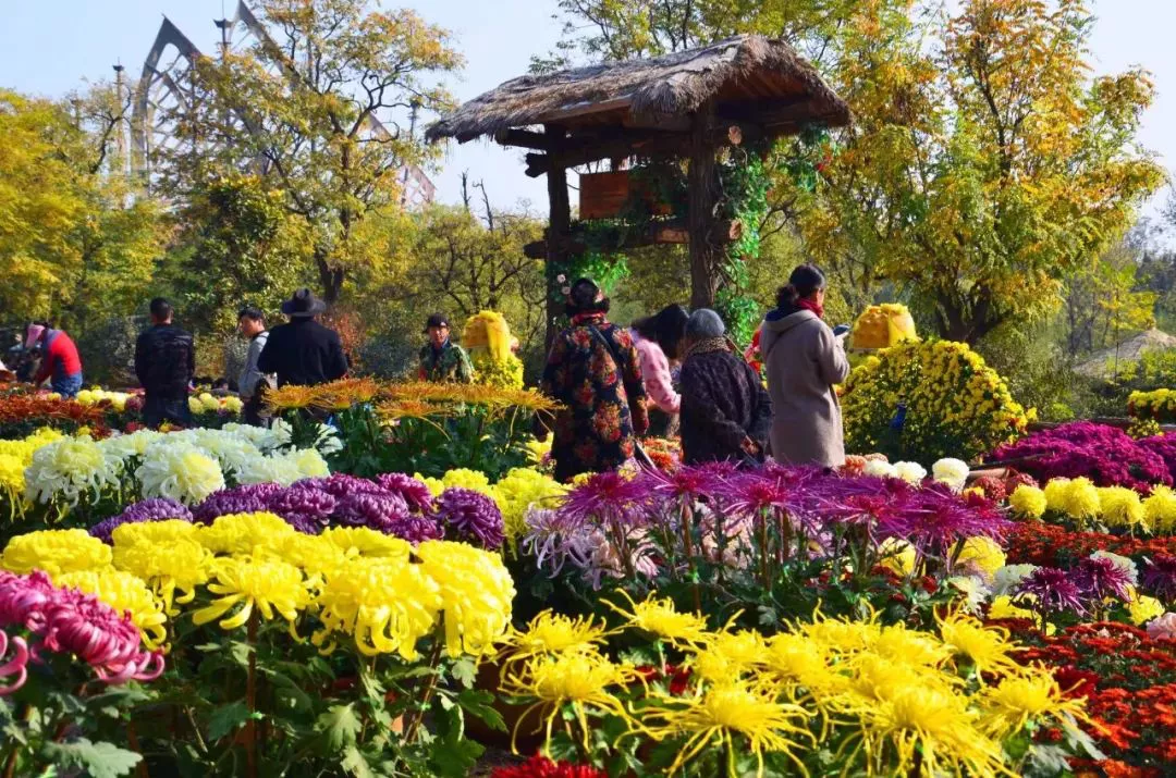中国开封第38届菊花文化节开幕