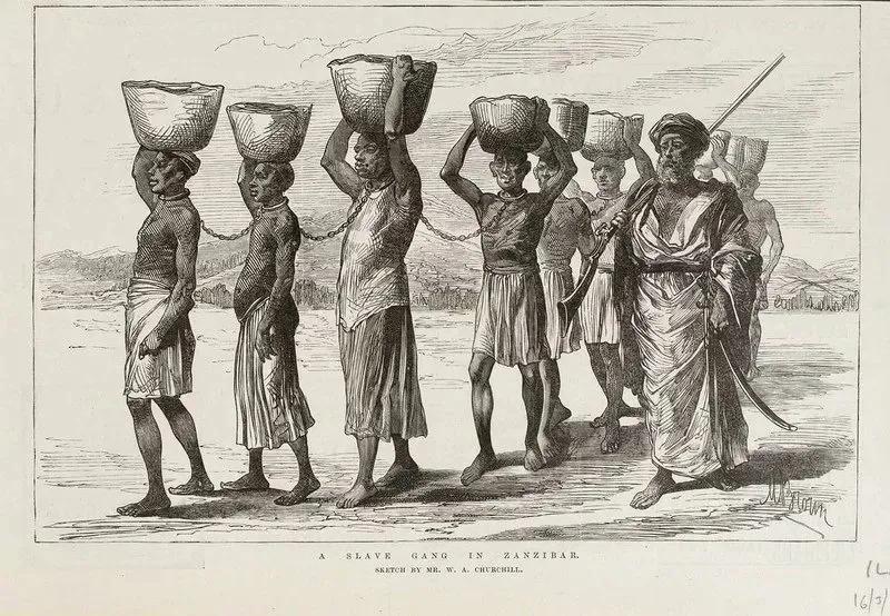 黑奴贩运——人类历史上最残忍的一页-第10张图片-大千世界