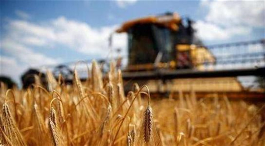 以为中国好欺负？中方连连重拳出击，澳洲最终