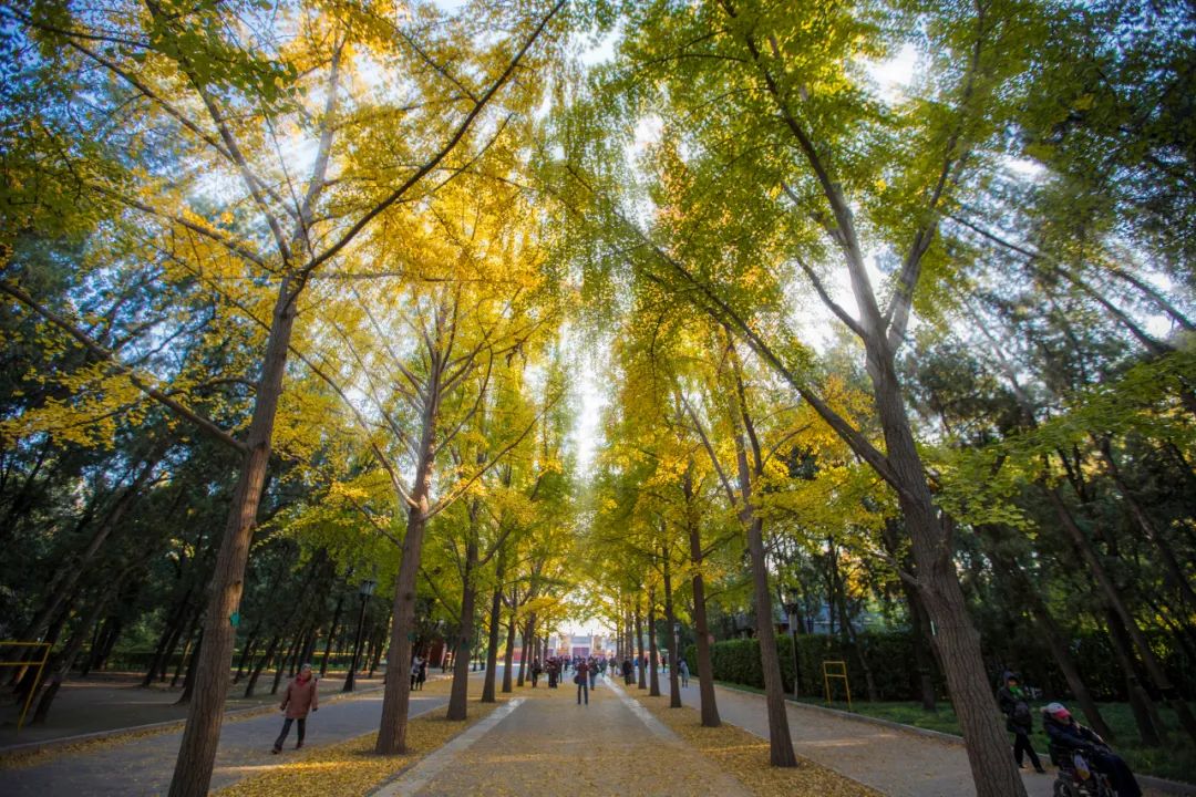 心态好了，人生就顺了