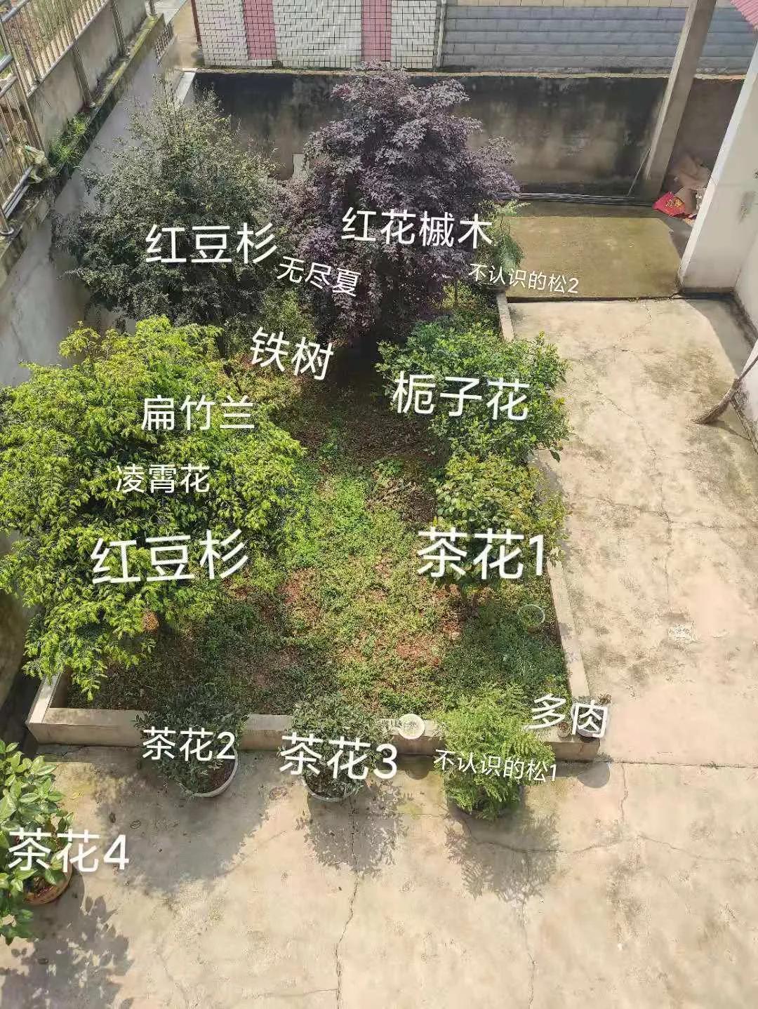 为什么人一过40岁，就喜欢把家里搞成植物园？