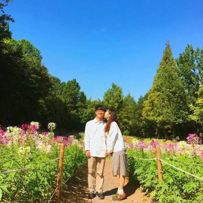 又萌又甜软的句子，浪漫至极，表白必备图片