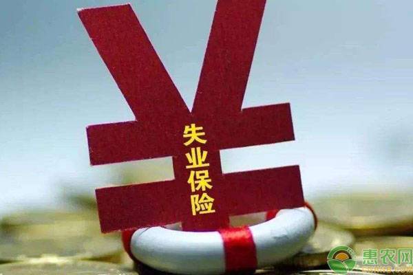 失业金领取有什么条件？金额怎么算？失业金领取办理流程 第1张