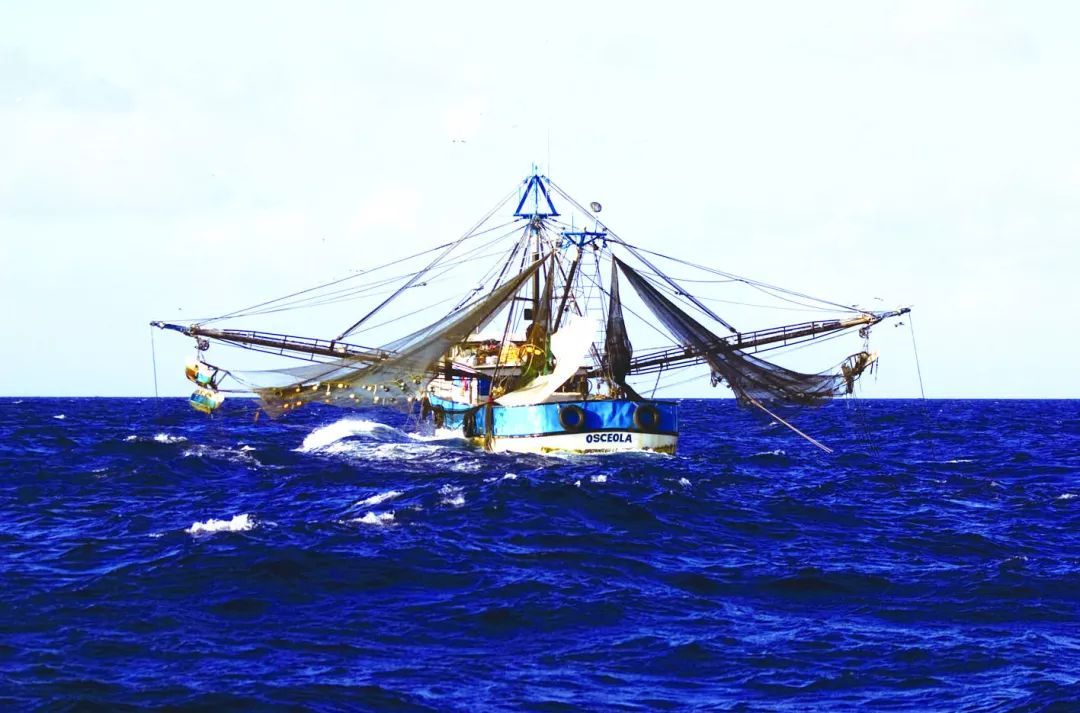 中国远洋渔业发展的若干问题探讨