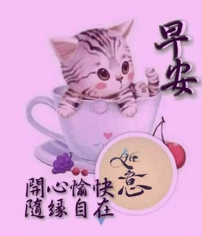 清新的空气，轻轻的风，醉人的花香，美的享受，早上好