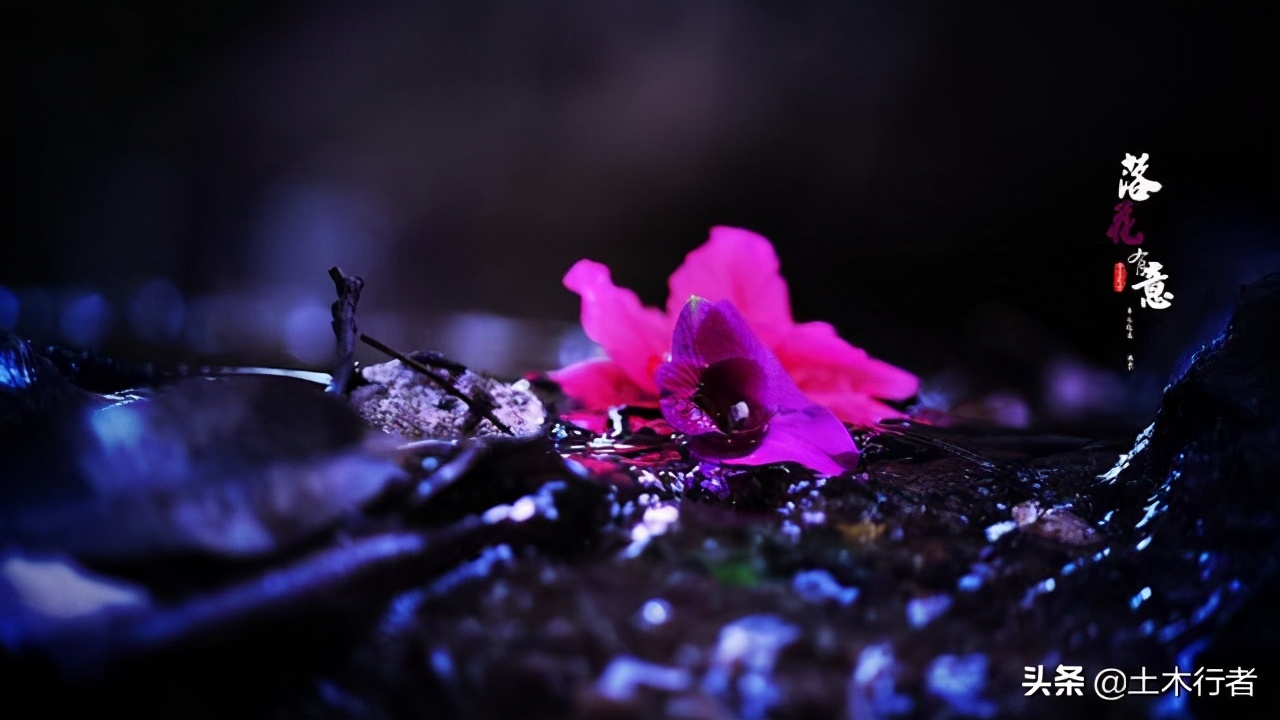 10首描寫傷春的古詩詞 土木行者 Mdeditor