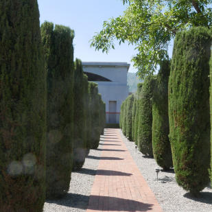 飞马酒庄：最酷的后现代酒庄