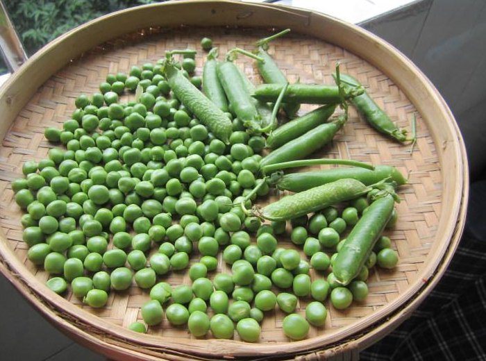 图片[3]-保存鲜豌豆方法  这样做放一年也新鲜 又绿又嫩-起舞食谱网
