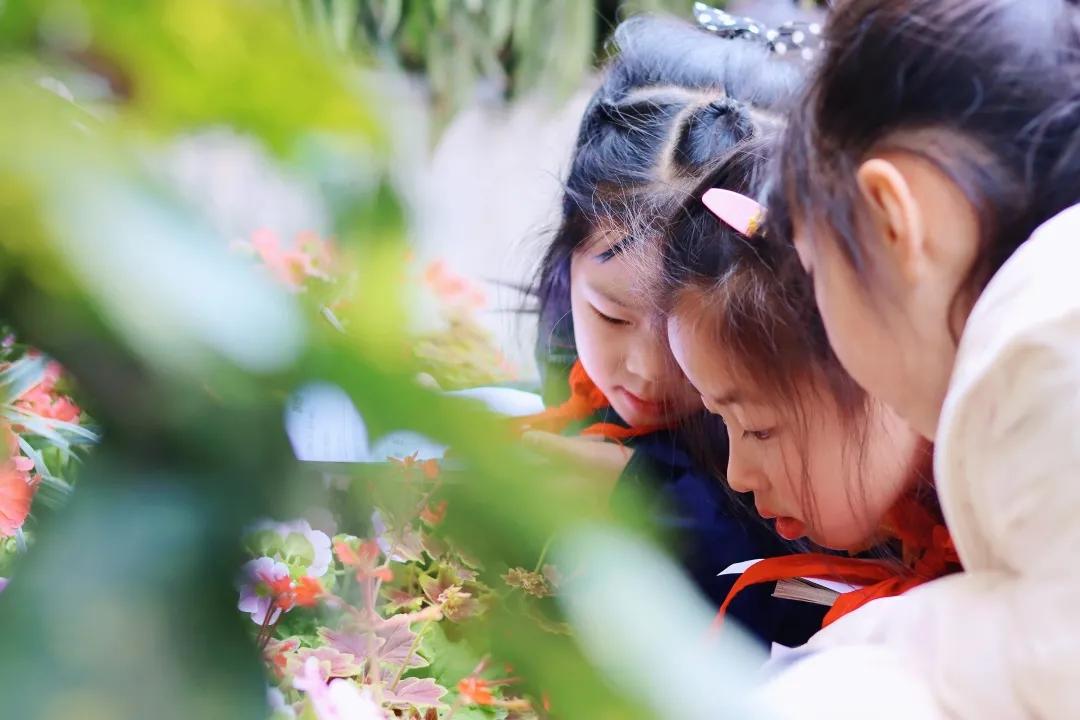 带上五官到校园里寻找春天——成都市华中附小大自然的语文课