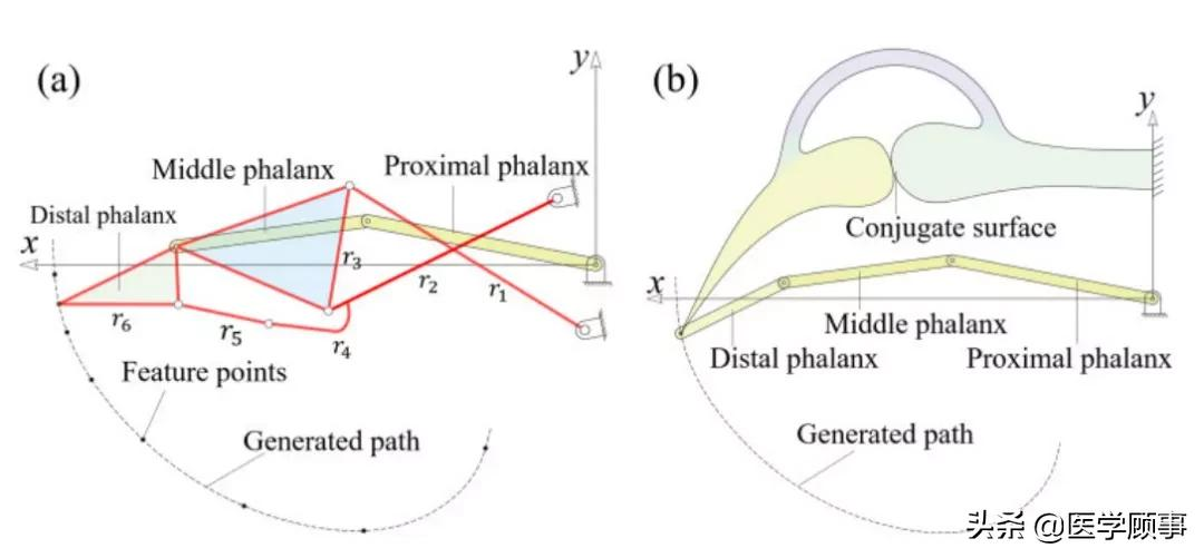 中國科學家首次研發仿生關節外骨骼模型，靈感來自波士頓龍蝦