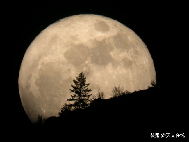 “超级粉月亮”来袭！2020年度最大月亮将于4月降临
