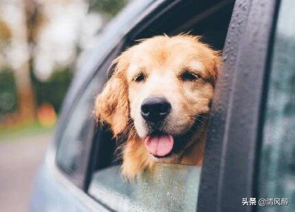 搞笑说说短句爆笑 适合自己的心情语录图片