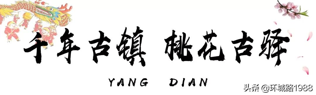 这里是,杨店