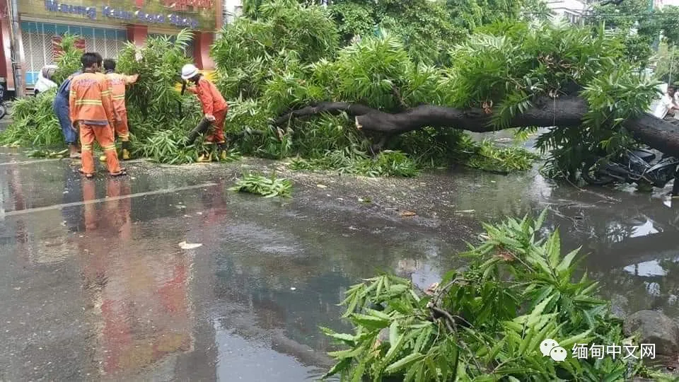 缅甸遭遇强风暴雨冰雹袭击，多个城市一片狼藉