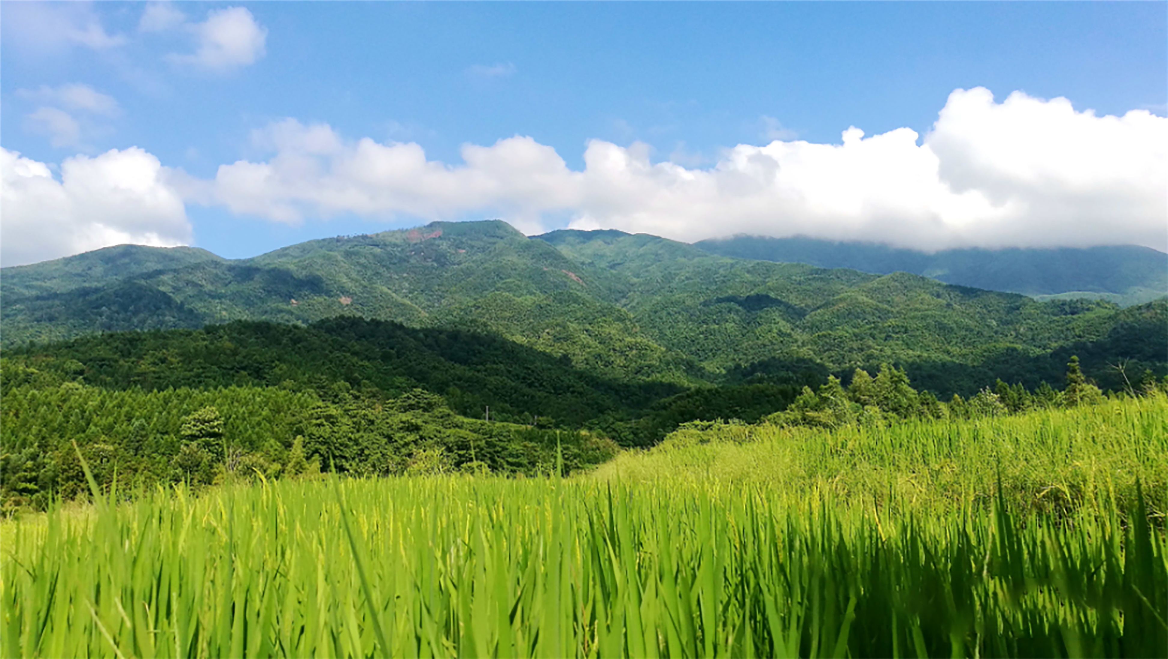 江西奉新縣越王山 史蹟眾多 尚未開發 藏在深山人未識 征途見聞 Mdeditor