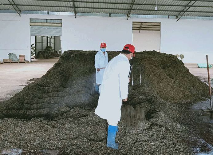 追踪报道｜普洱茶每次翻堆的背后，究竟是品质升华还是工艺需求？