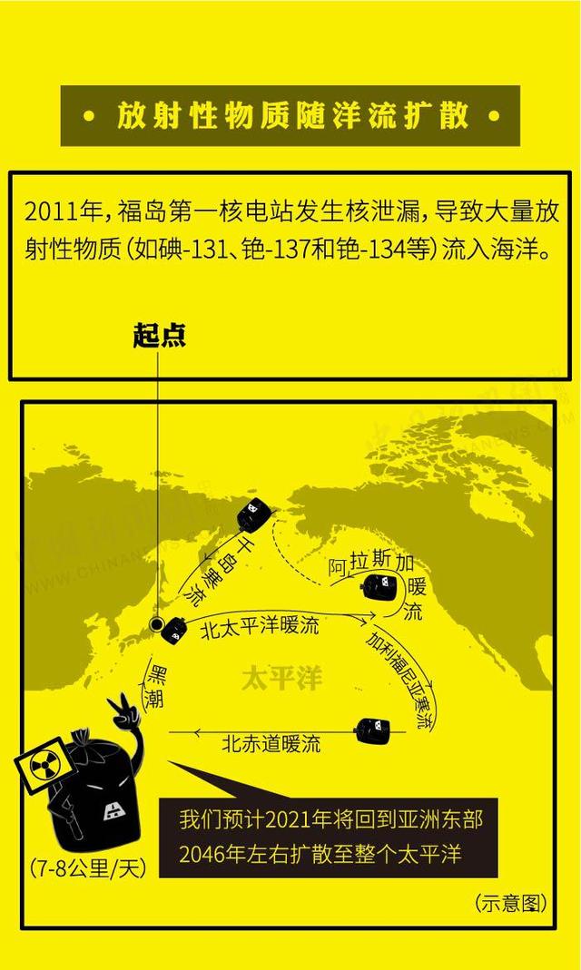 福島黑鲉魚(yú)禁止上市，日本核廢水早就排放了，是真的？危害多大？