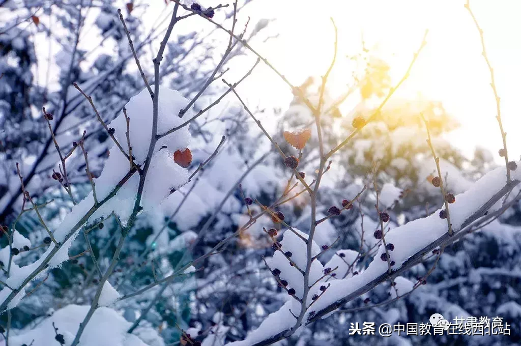 甘肃初雪|甘肃18所高校初学雪景大PK,快来看看有你的母校没?