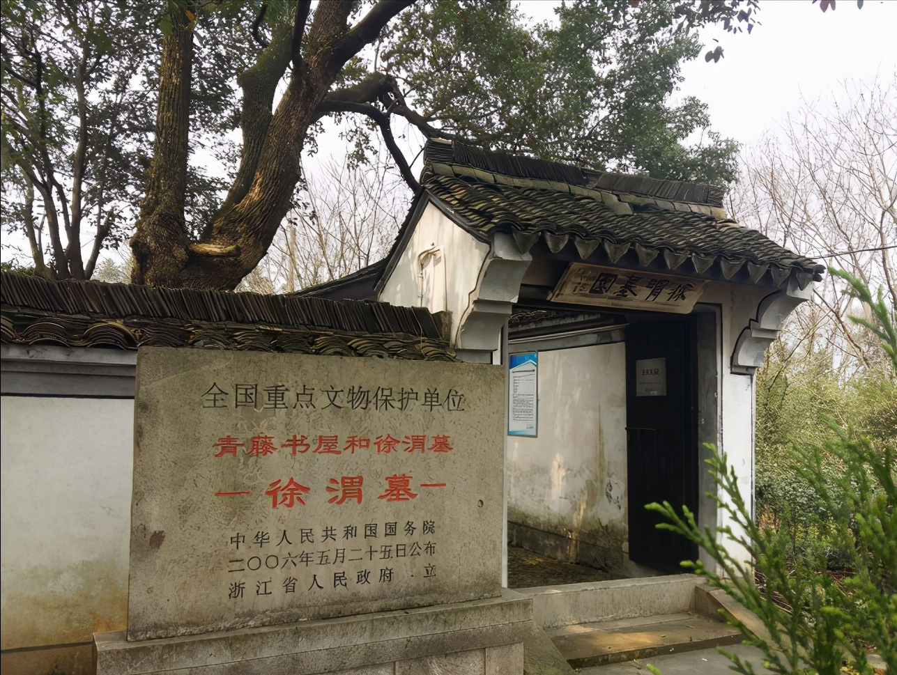 一杯黄土掩风流，明代杰出书画家徐渭墓风水考