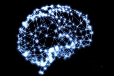 神秘的脑机 马斯克将于本周展示最新成果