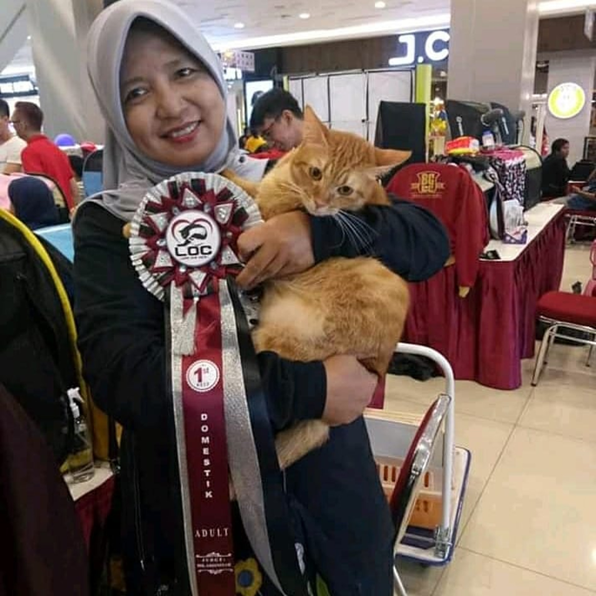 救助400只猫咪，却被恶行逼迫搬家3次，她指出流