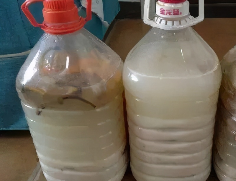 養花要謹記，5種情況下，不能亂施肥，澆一盆枯萎一盆