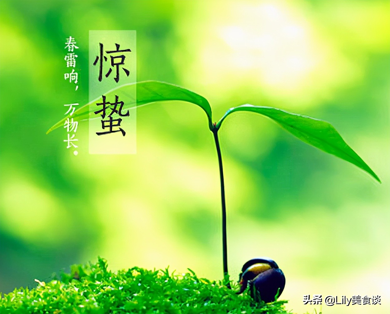 圖片[1]-雪梨茅根竹蔗水做法步驟圖 一年都精神健康-起舞食譜網