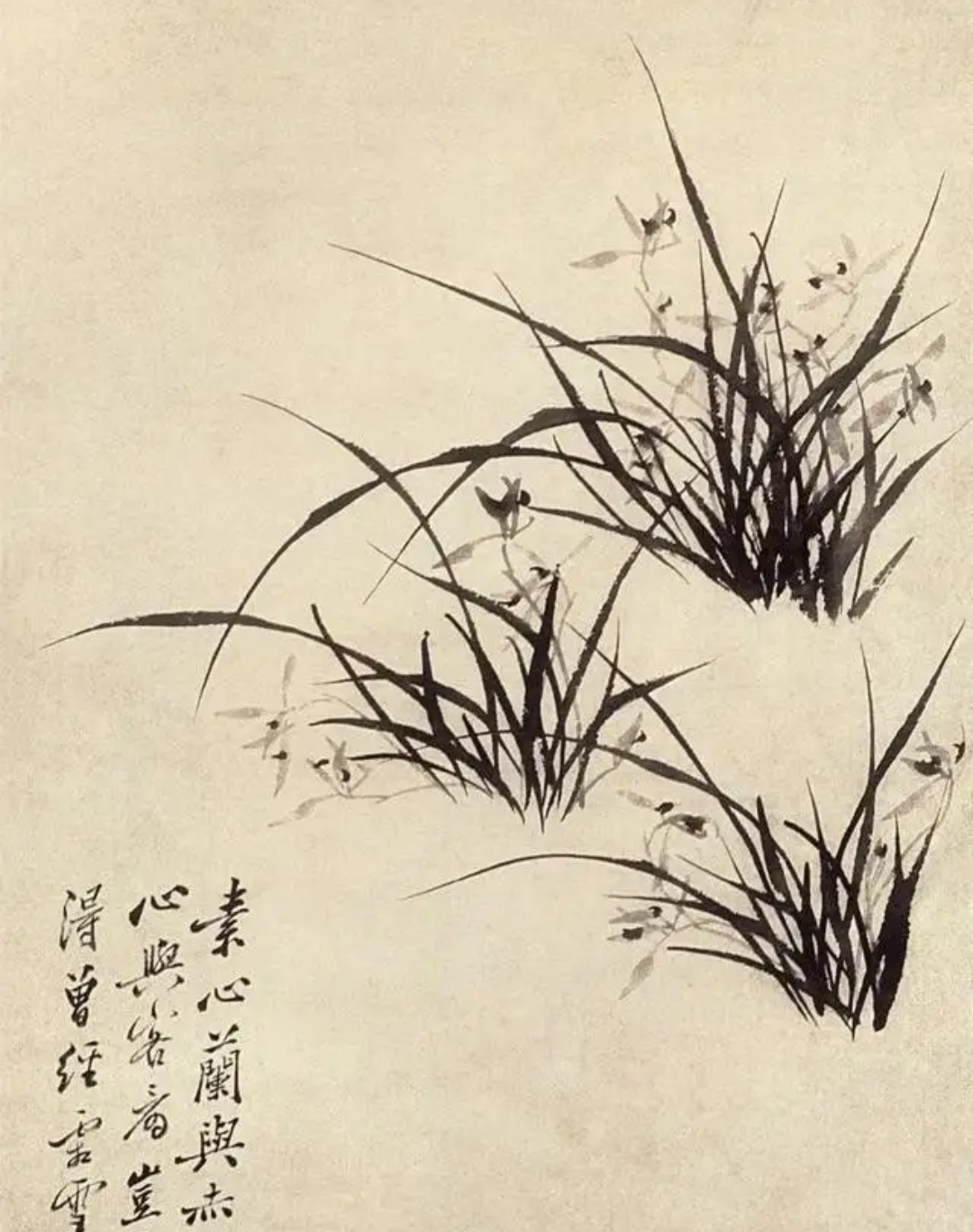 灵秀、不晦、浓淡相生：浅谈国画中用笔与用墨