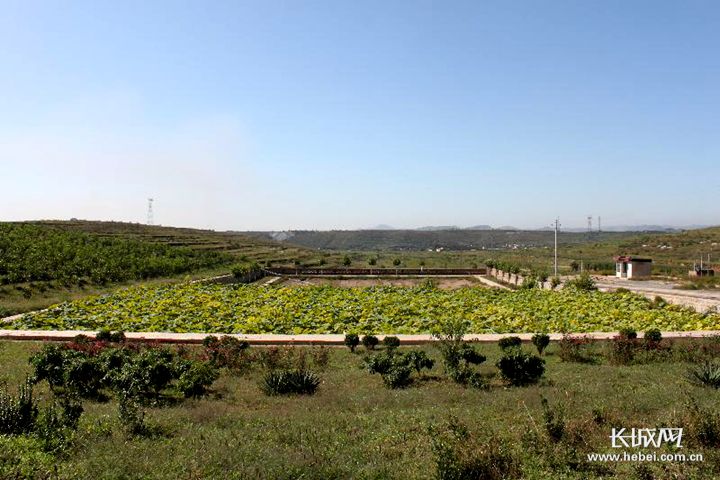 「“两山论”的河北答卷」武安：废弃矿山变身“花果山”