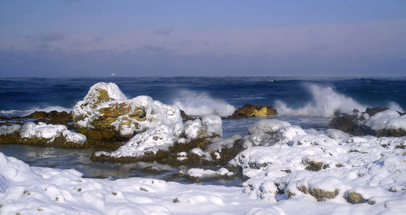 鄂霍次克海有白鲸有帝王蟹但不能游泳