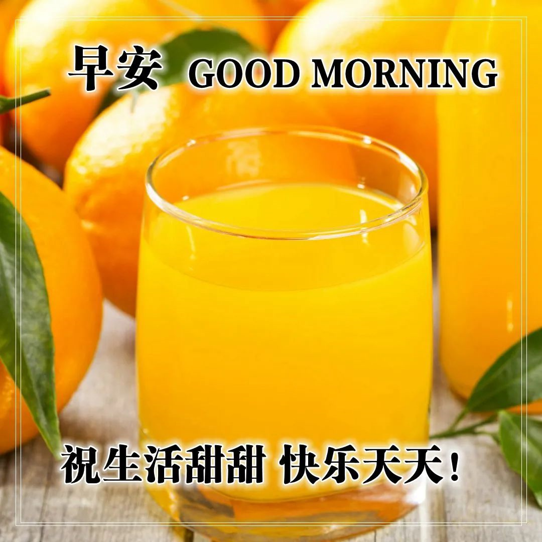 早上的问候图片带上精美的祝福语图片