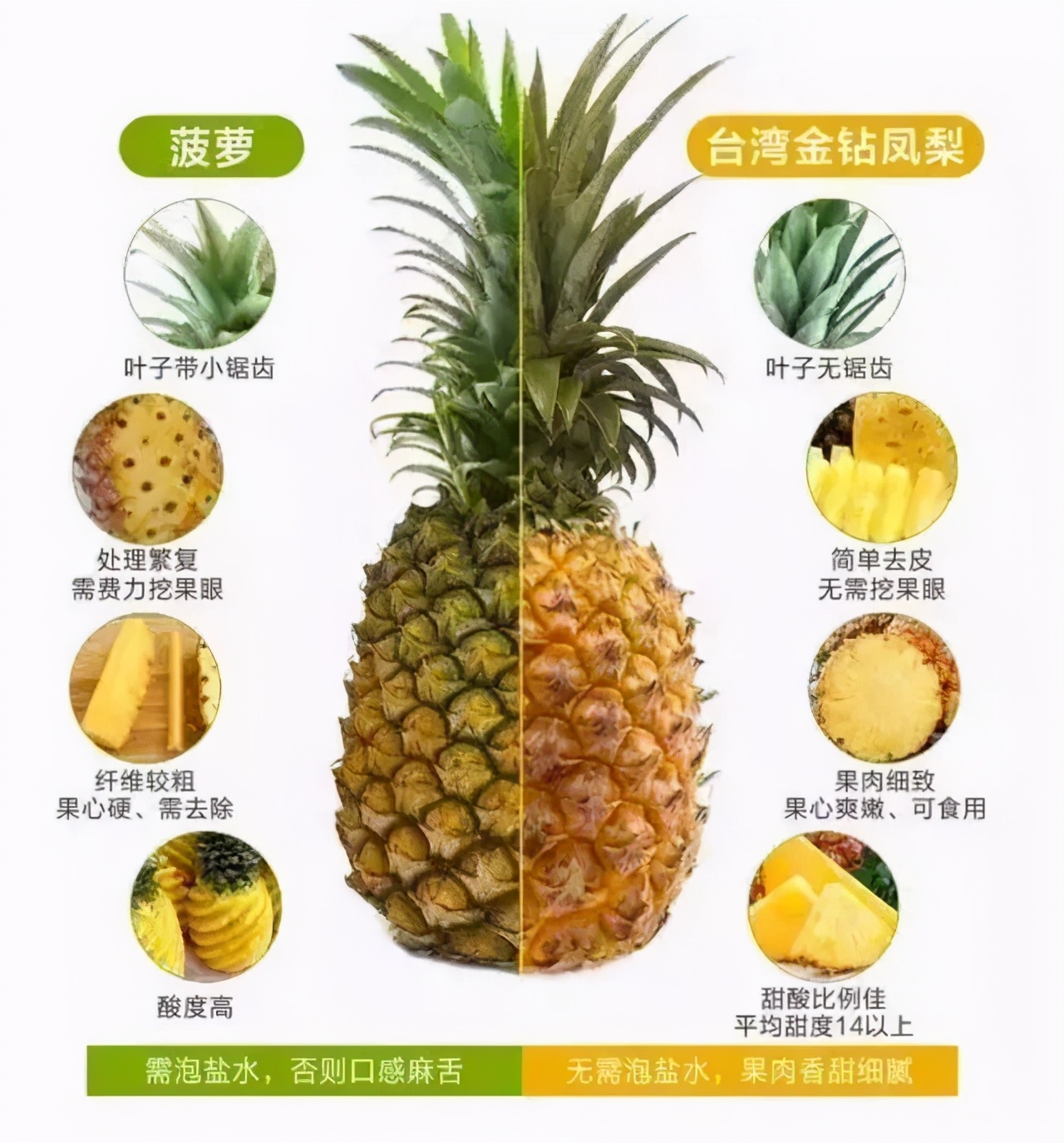 凤梨与菠萝是一个东西吗？一文讲清菠萝食用禁忌