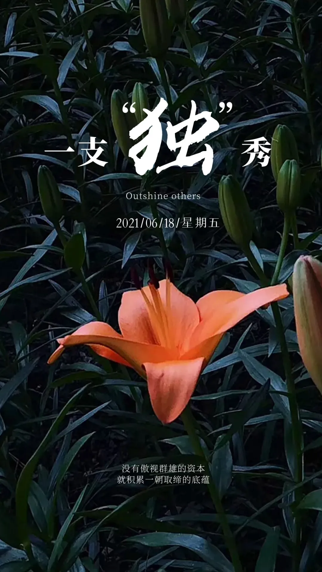 早安心语，正能量走心语录句子很好看的早上好图片图片