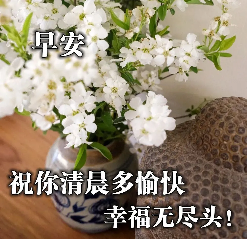 适合恋人早安心语  早上早上好图片漂亮祝福图片