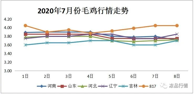 翻红大涨！落地的鸡价开始起飞了