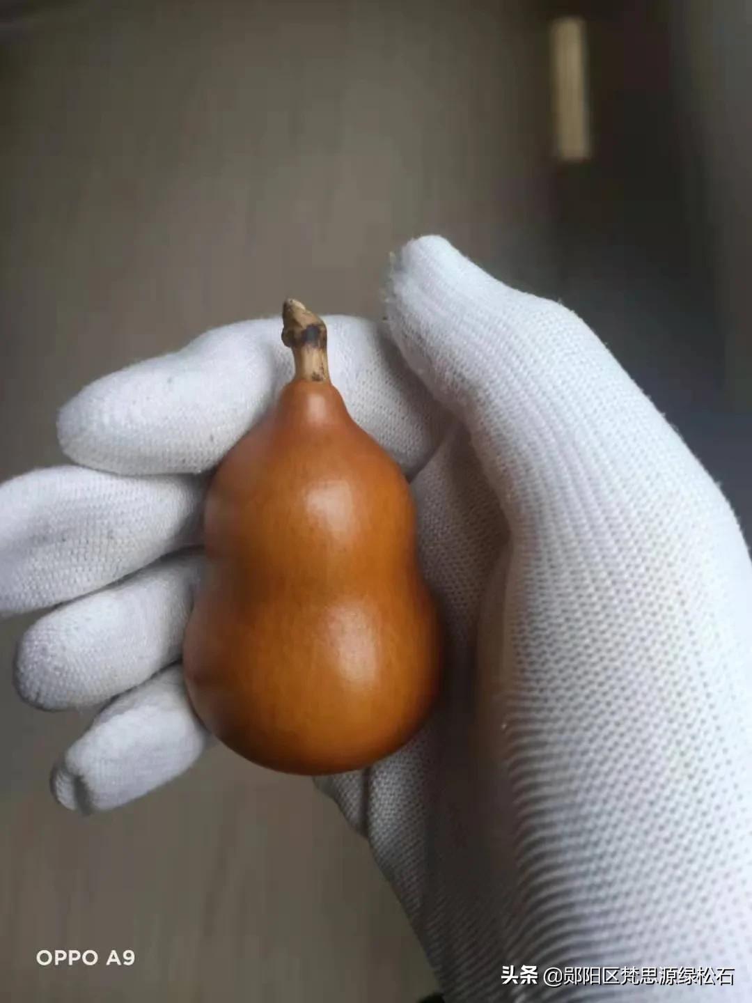 好串不仅是别人的，也会是你的
