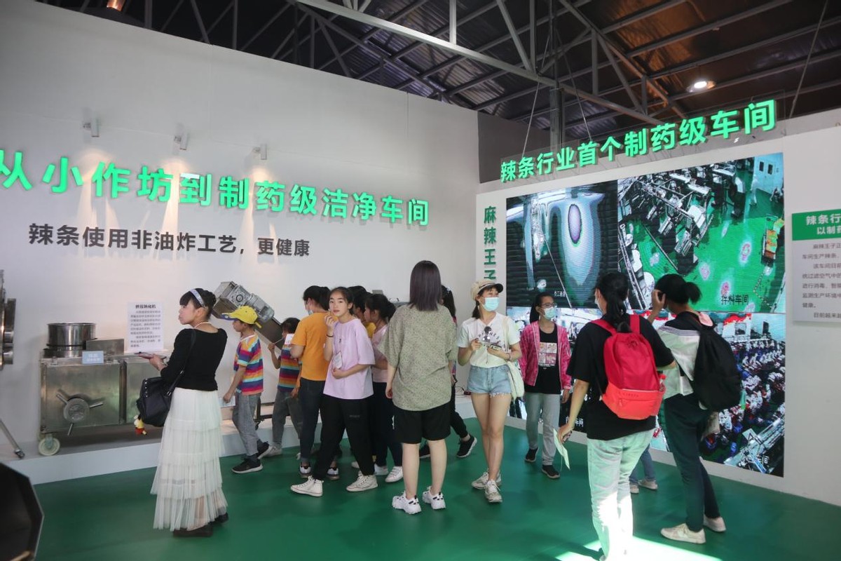 “辣条做的博物馆”全新开馆，首日超万人打卡参观