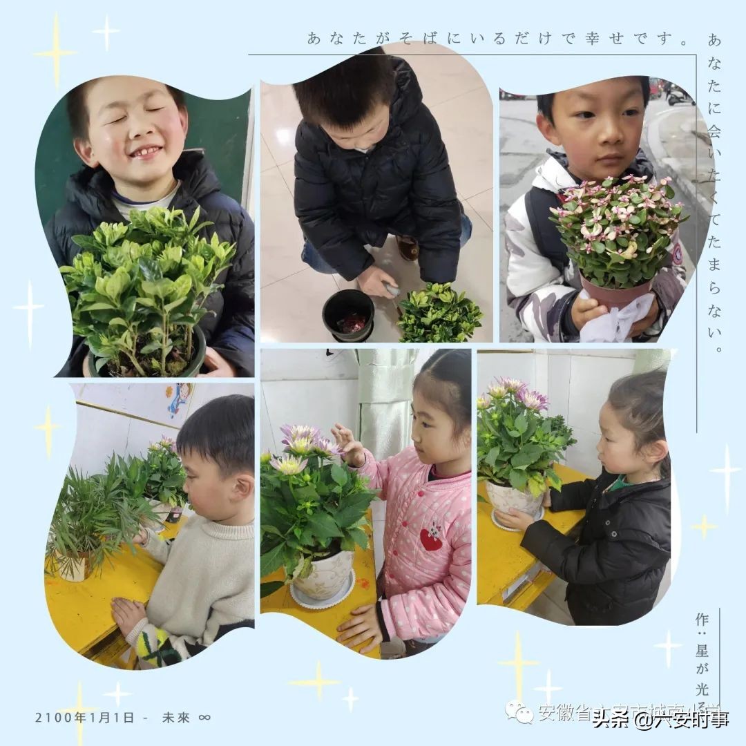 ӵ������ ������ɫ���������г���Сѧֲ���ڻ