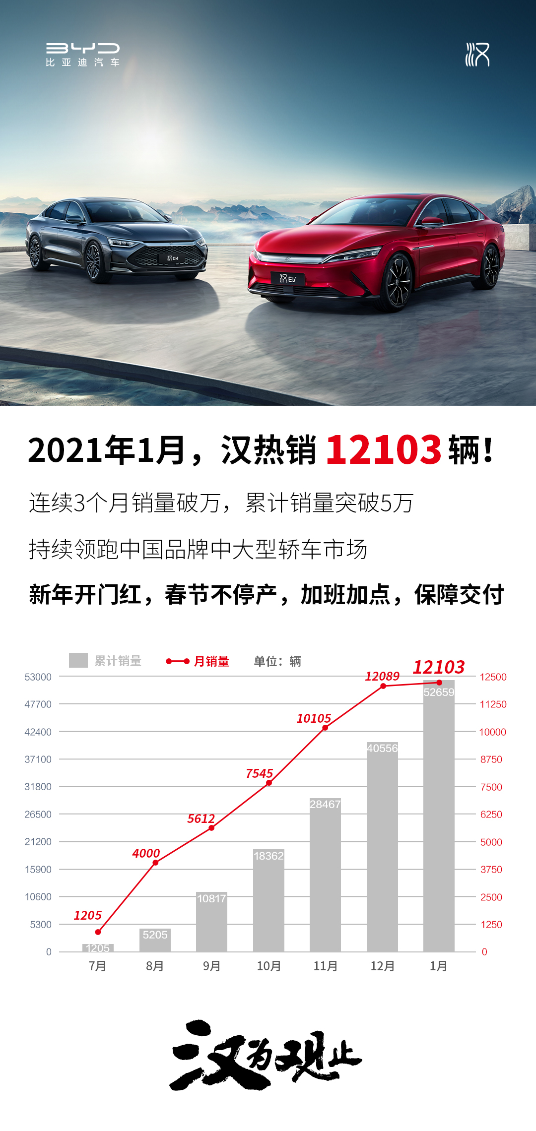 大河报汽车网