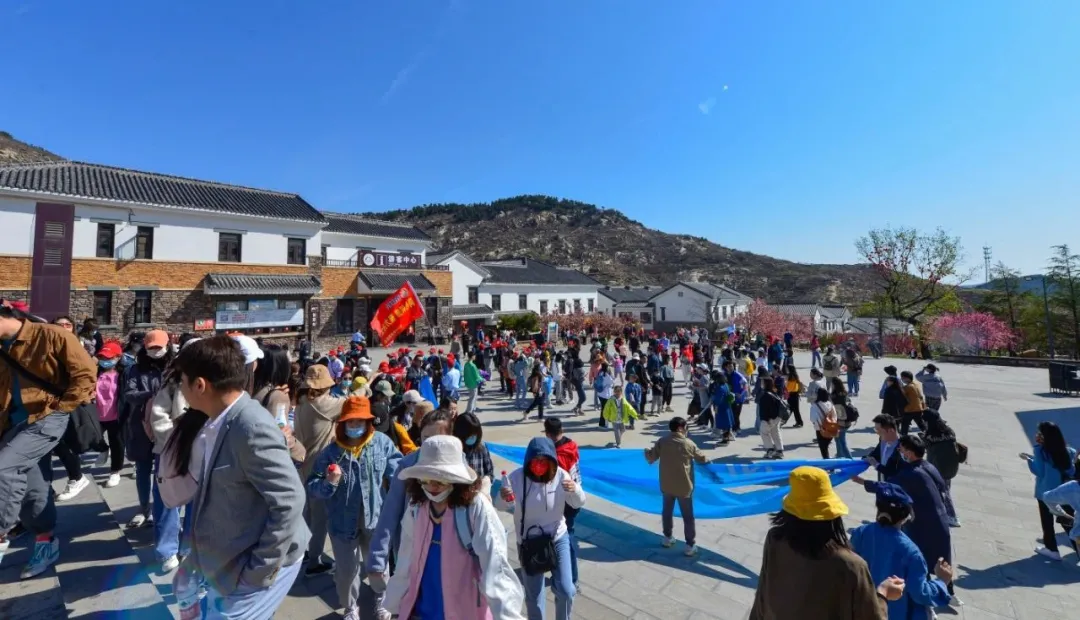 花开春盛游人醉！本周末天蒙山再迎“踏青赏花游”客流小高峰！