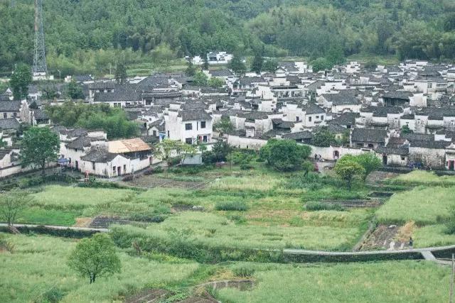 五九尽处又逢春，在西递，邂逅故乡里的烟雨