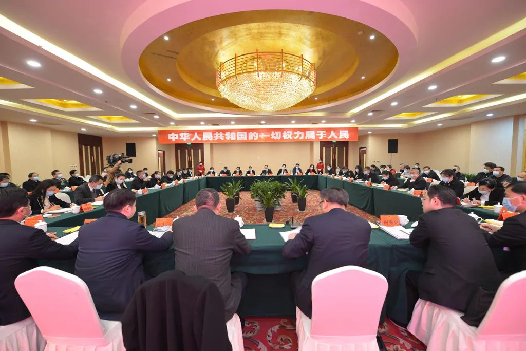 【图片新闻】市五届人大五次会议各代表团举行分组讨论