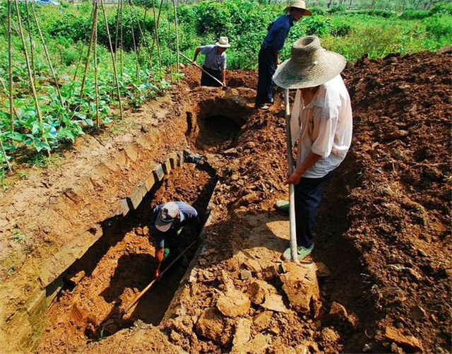 许昌老汉挖出10万年前"宝贝"，打破非洲起