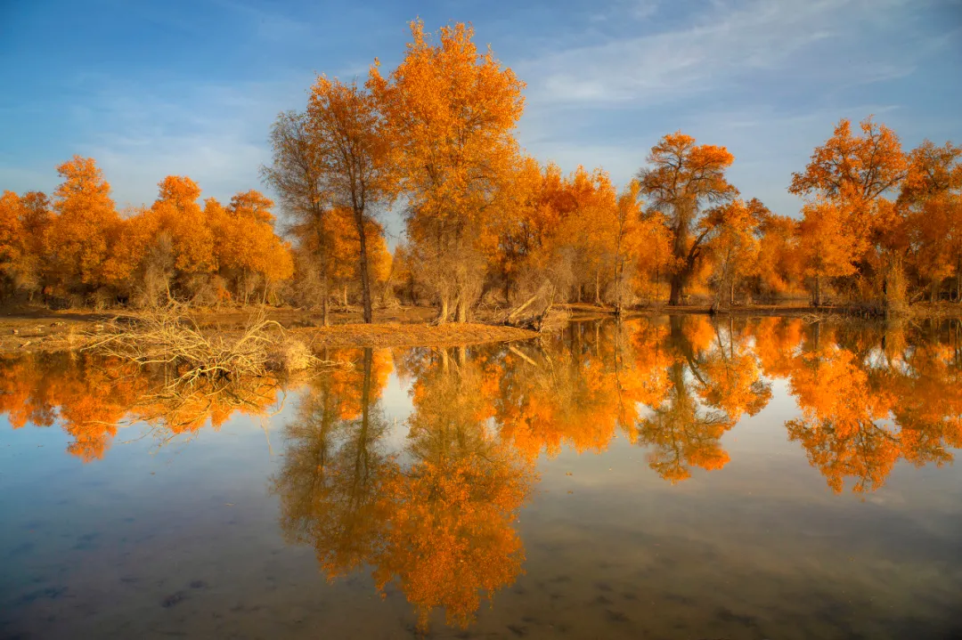 新疆的秋天，美轮美奂的让全世界都惊呆